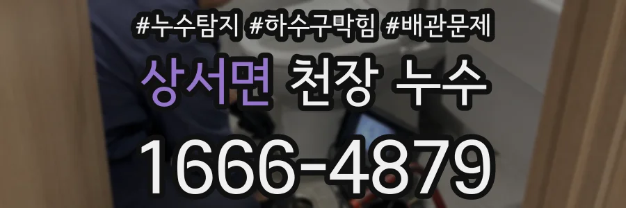 상서면 천장 누수