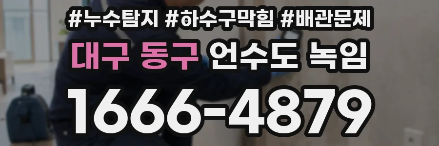 대구 동구 언수도 녹임