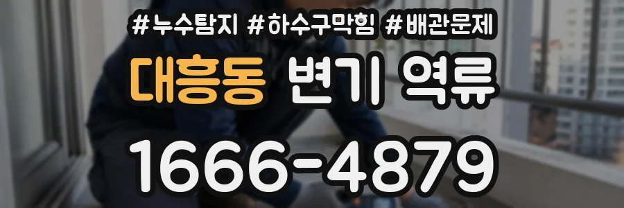 대흥동 변기 역류