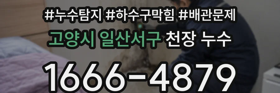 고양시 일산서구 천장 누수