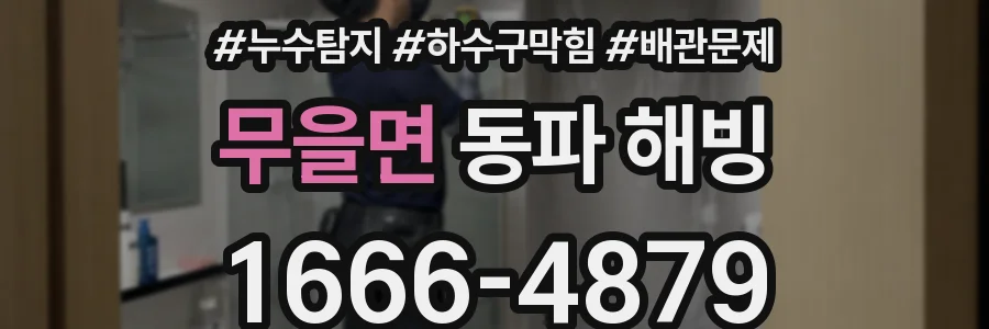 무을면 동파 해빙