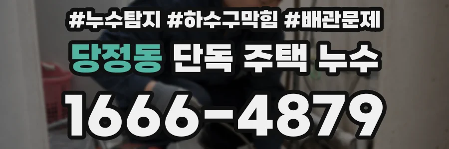 당정동 단독 주택 누수
