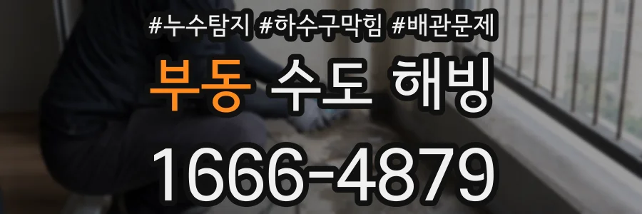 부동 수도 해빙