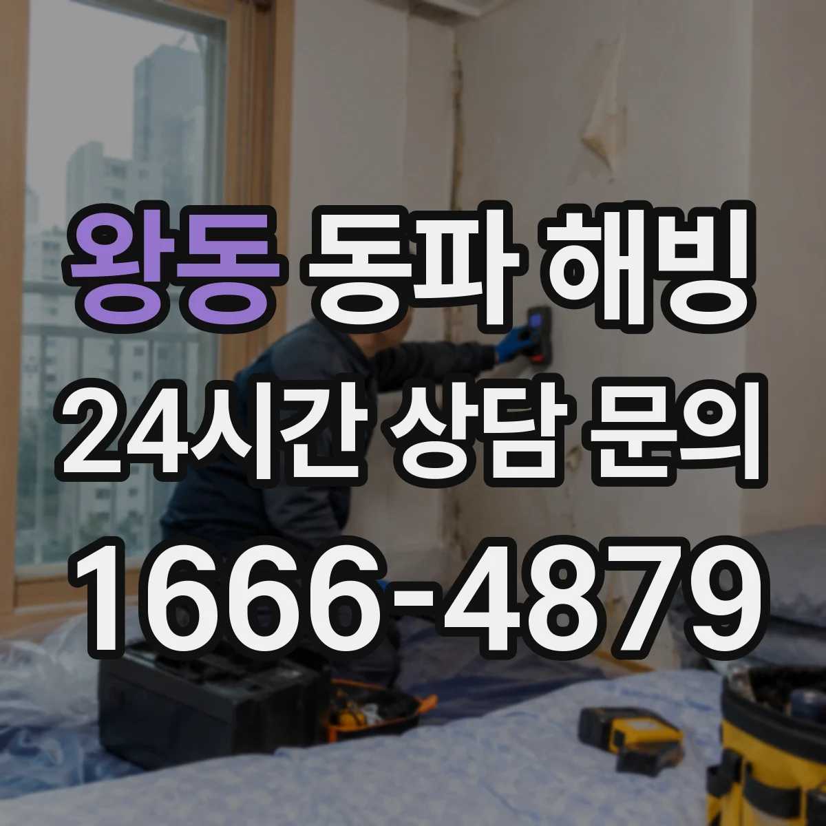 왕동 동파 해빙