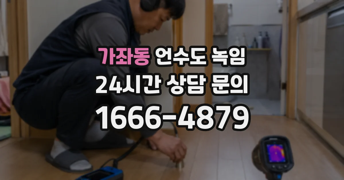 가좌동 언수도 녹임