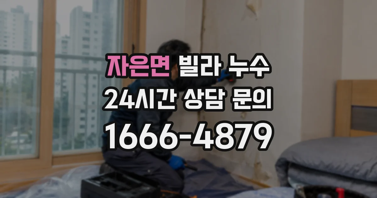 자은면 빌라 누수