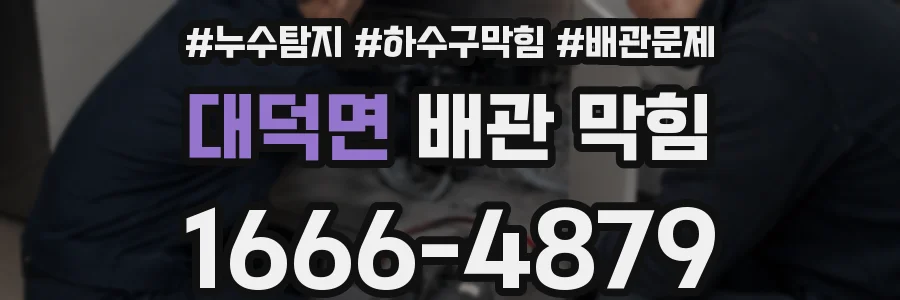 대덕면 배관 막힘