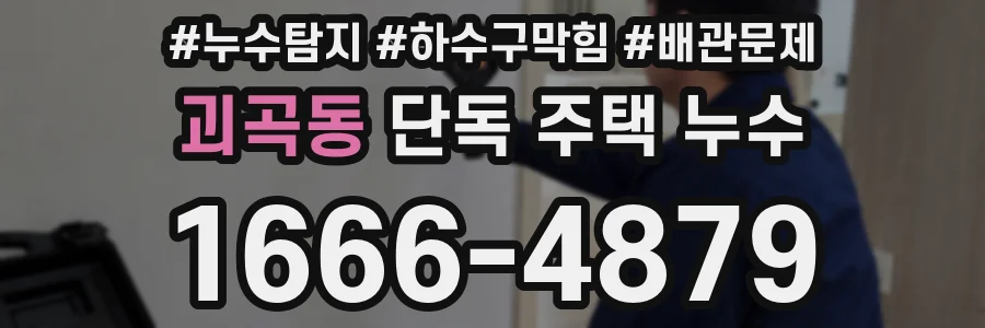 괴곡동 단독 주택 누수