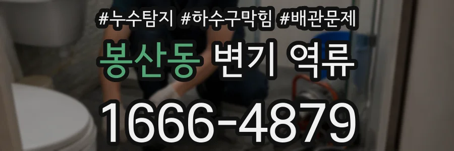 봉산동 변기 역류