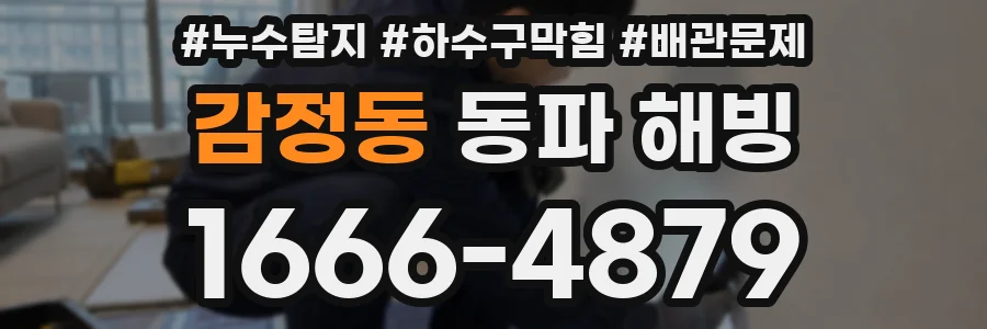 감정동 동파 해빙