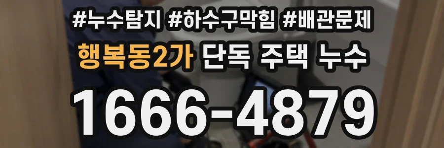 행복동2가 단독 주택 누수