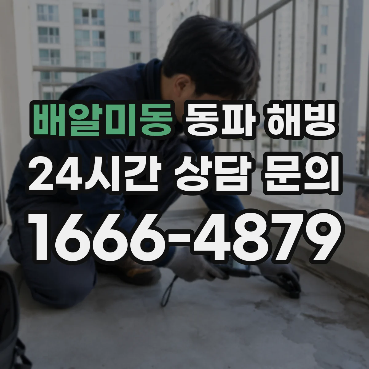 배알미동 동파 해빙