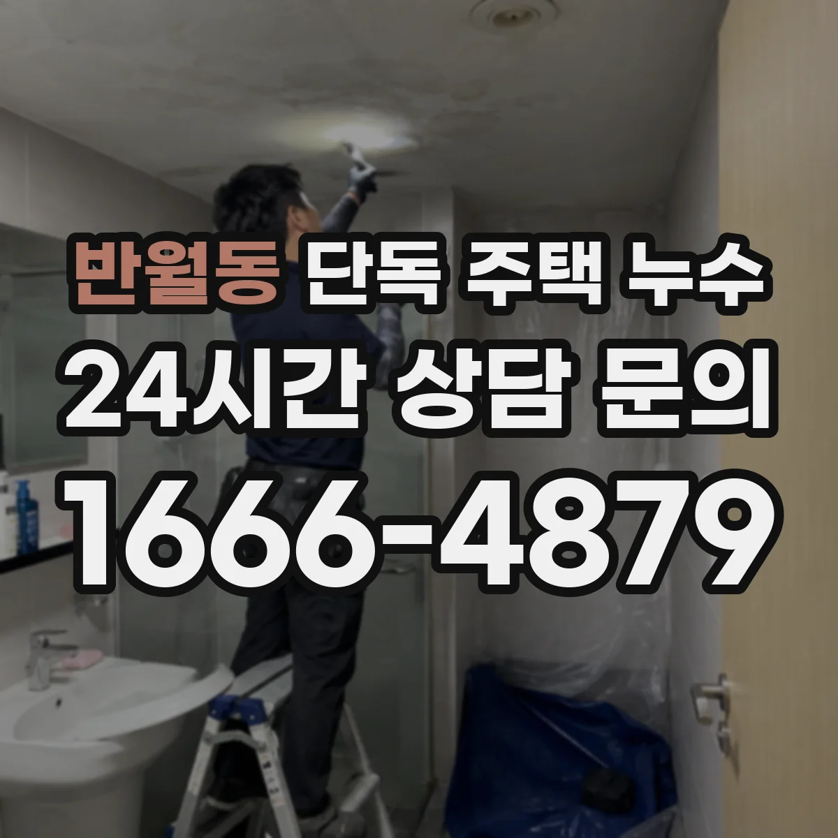 반월동 단독 주택 누수