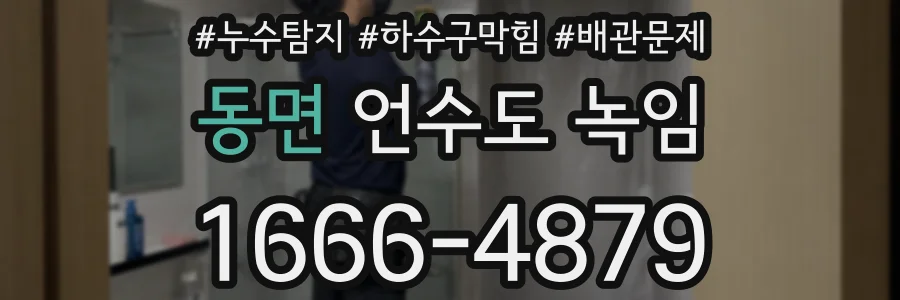 동면 언수도 녹임
