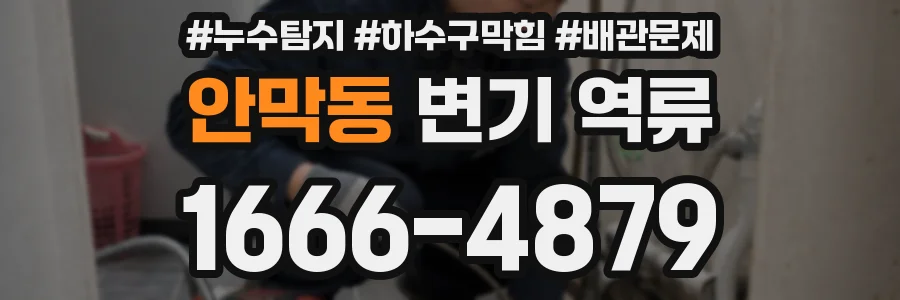 안막동 변기 역류