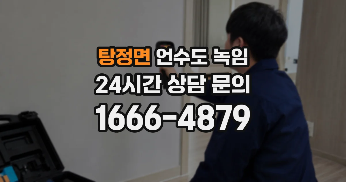 탕정면 언수도 녹임