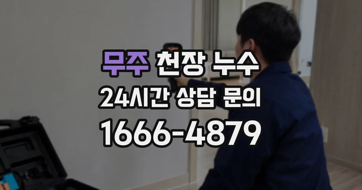 무주 천장 누수