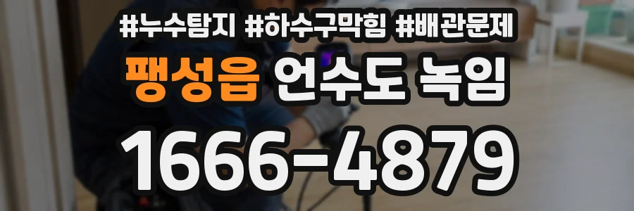 팽성읍 언수도 녹임