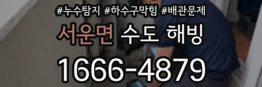 서운면 수도 해빙