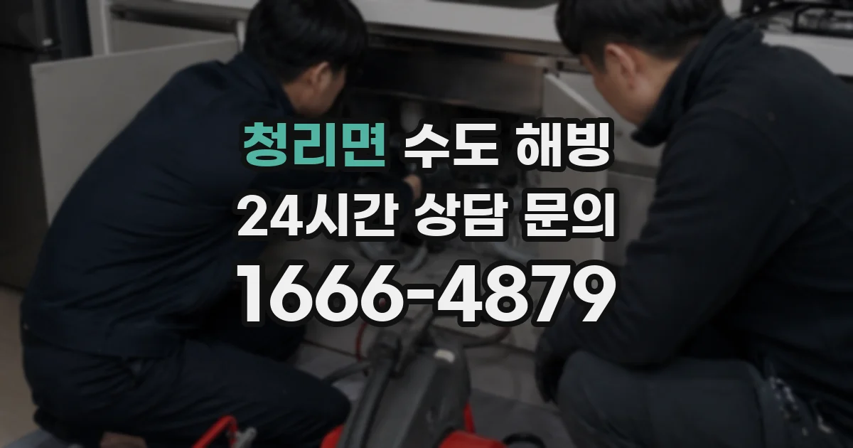 청리면 수도 해빙