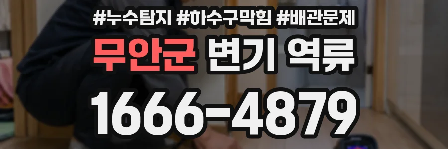 무안군 변기 역류