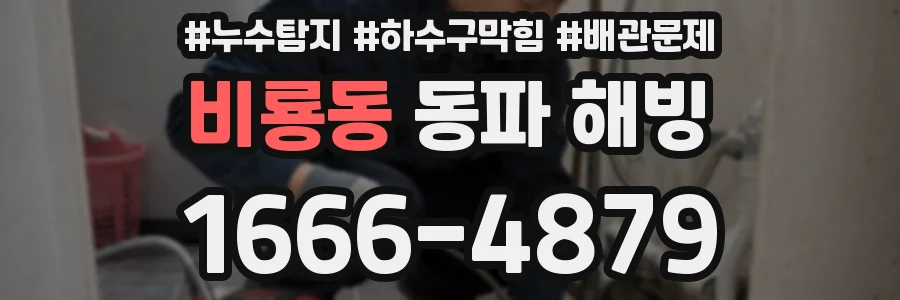 비룡동 동파 해빙