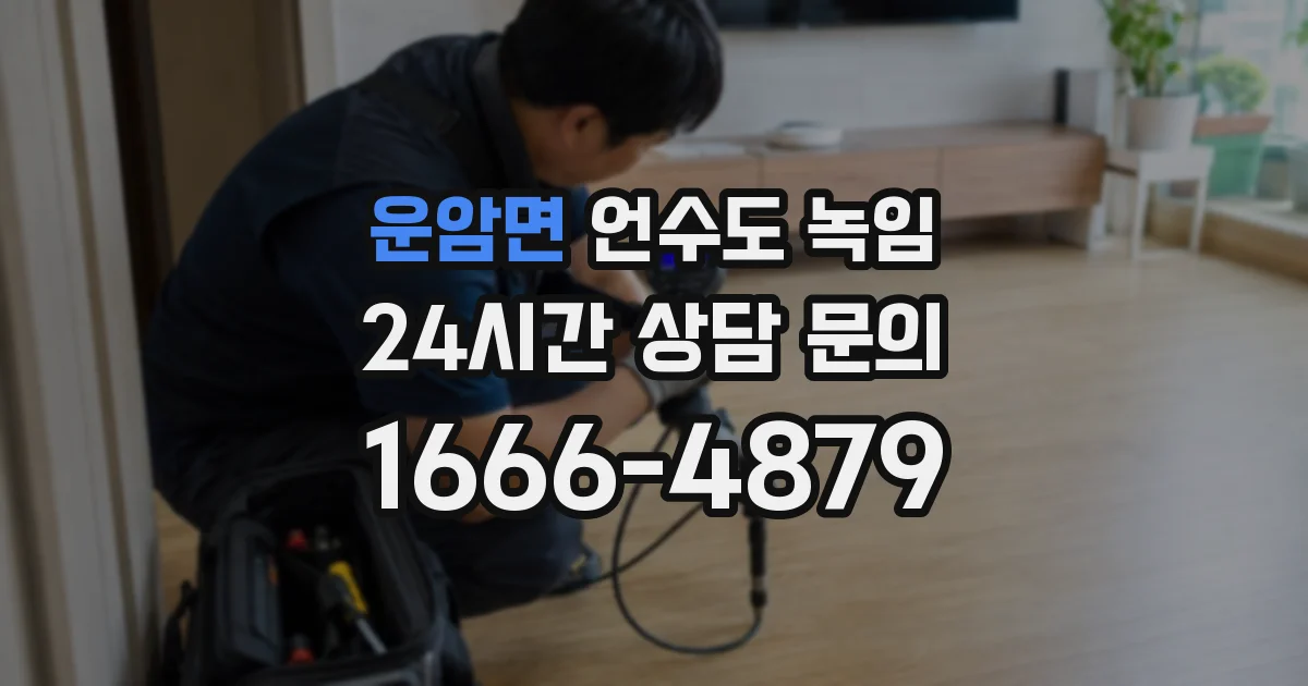 운암면 언수도 녹임