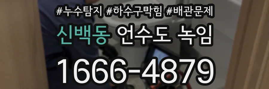 신백동 언수도 녹임