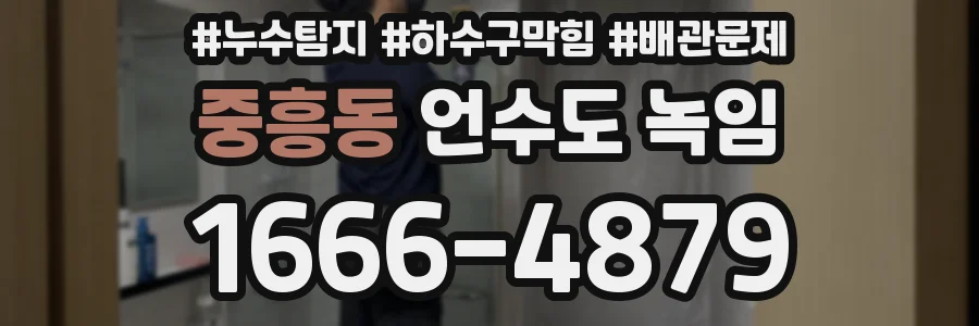 중흥동 언수도 녹임