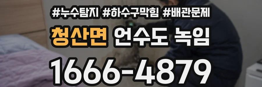 청산면 언수도 녹임