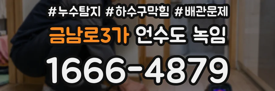금남로3가 언수도 녹임
