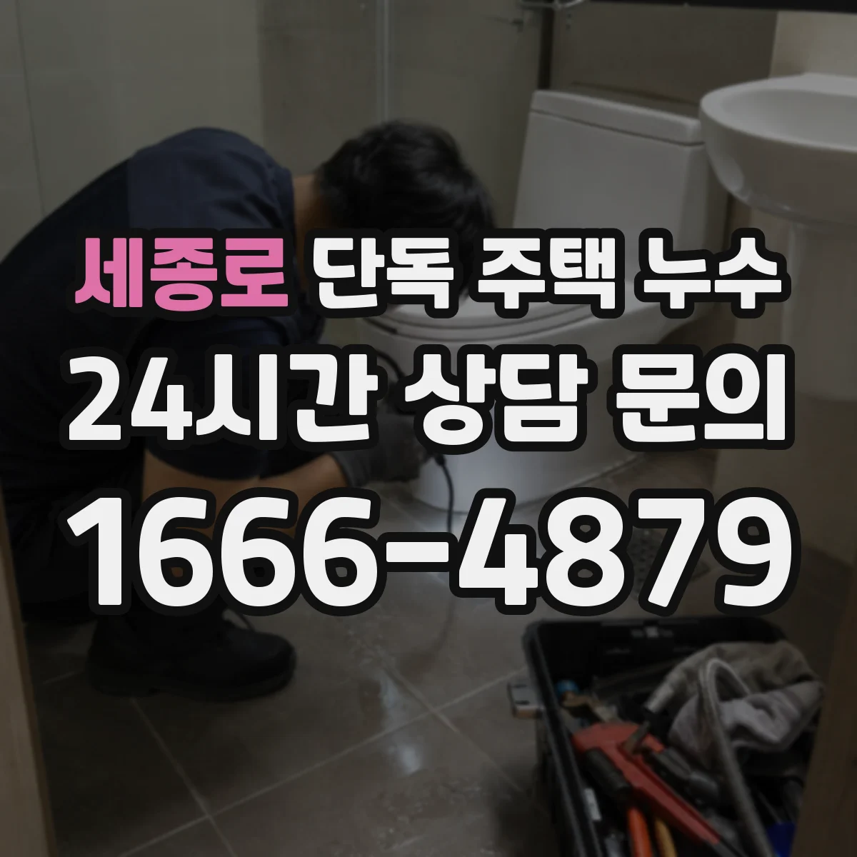 세종로 단독 주택 누수
