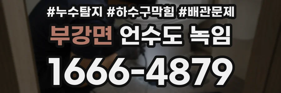 부강면 언수도 녹임