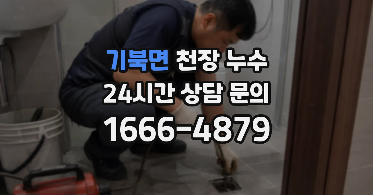 기북면 천장 누수