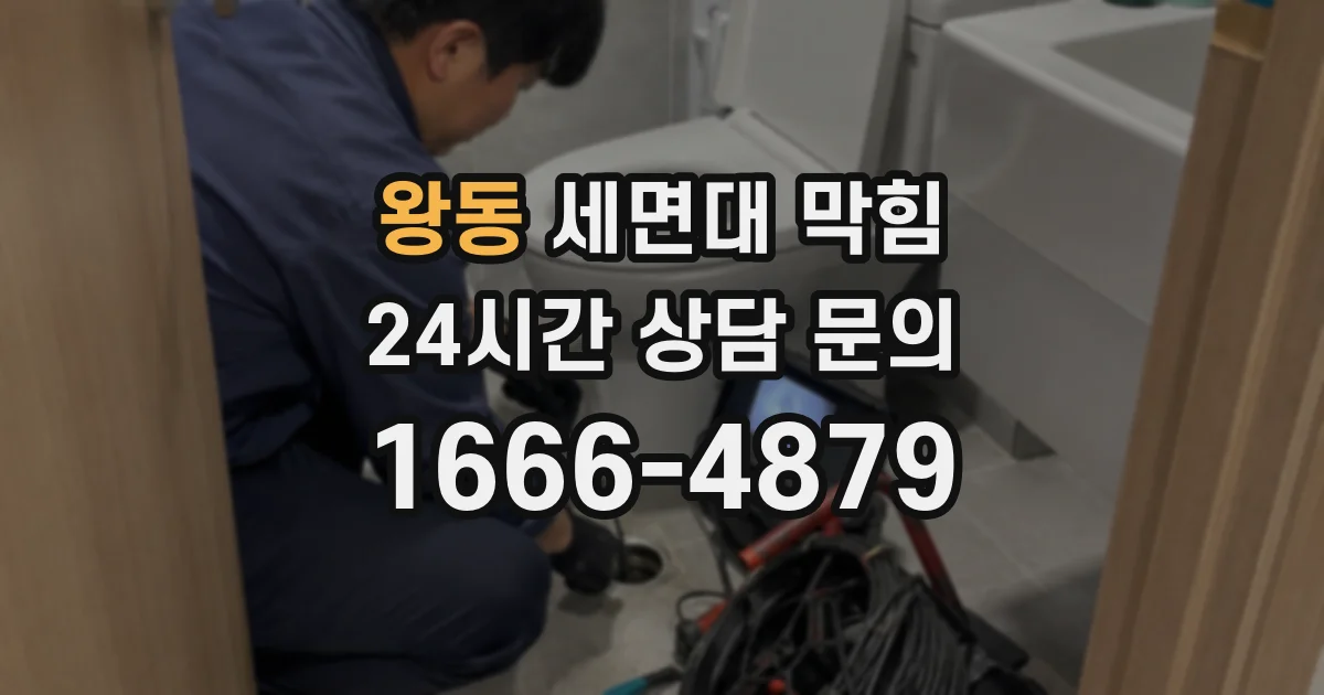 왕동 세면대 막힘