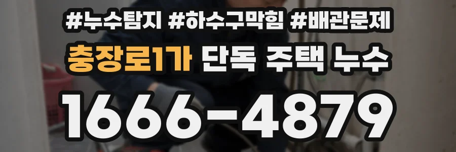 충장로1가 단독 주택 누수
