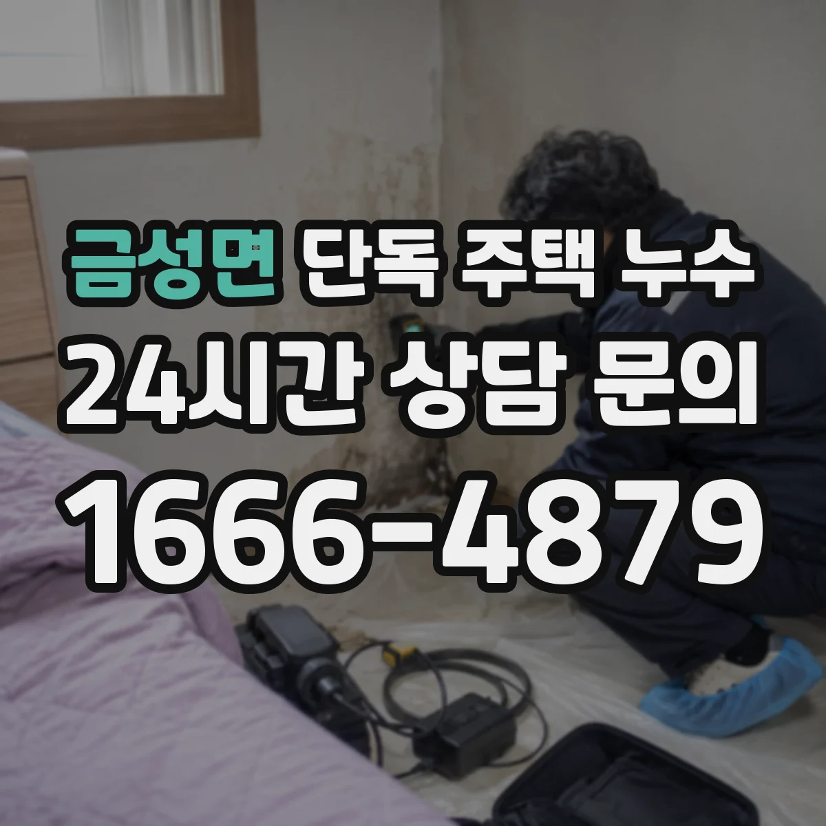 금성면 단독 주택 누수