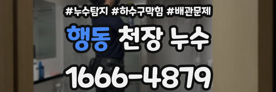 행동 천장 누수