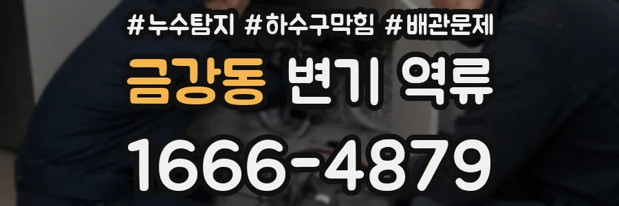 금강동 변기 역류