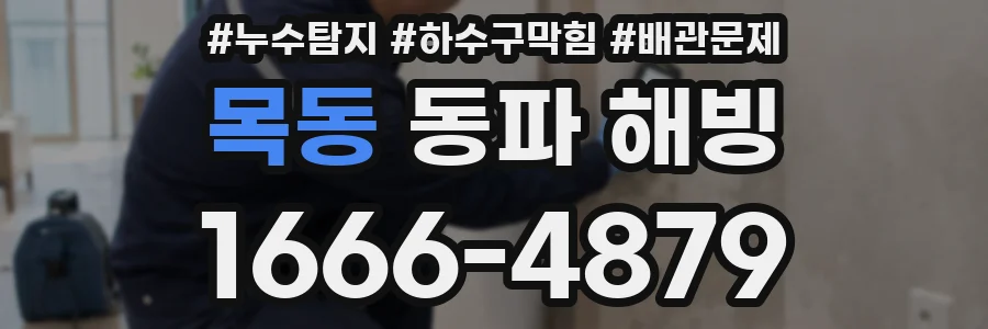 목동 동파 해빙