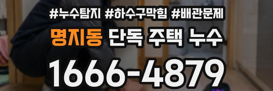 명지동 단독 주택 누수