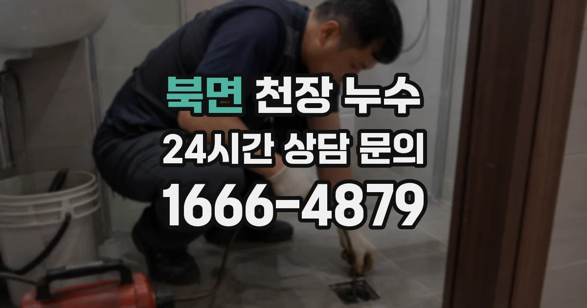 북면 천장 누수