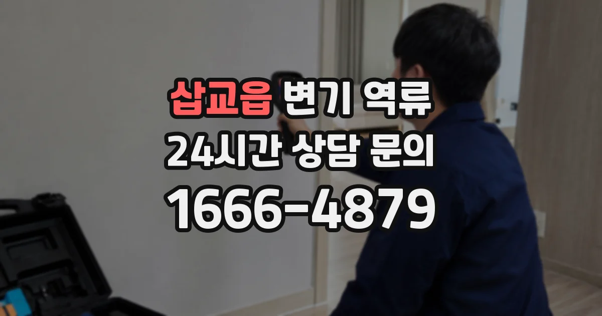 삽교읍 변기 역류
