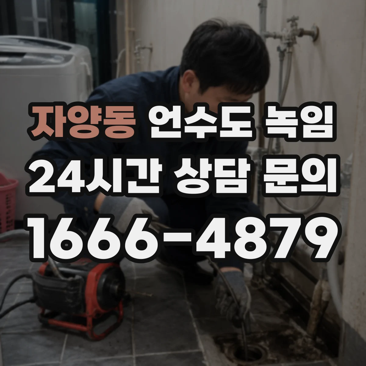 자양동 언수도 녹임