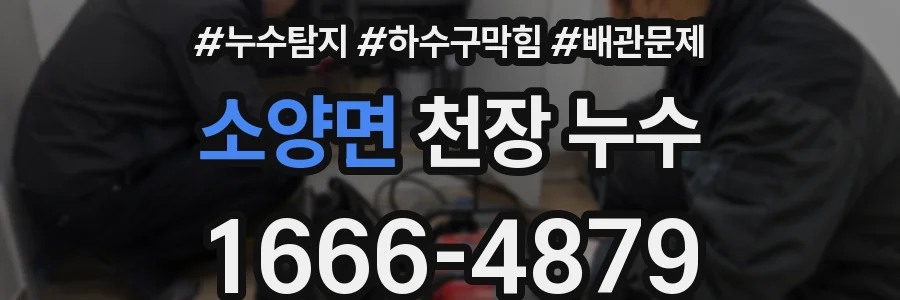 소양면 천장 누수