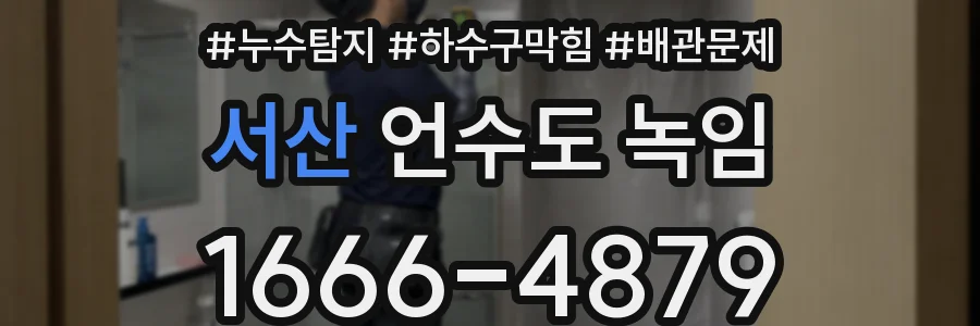 서산 언수도 녹임