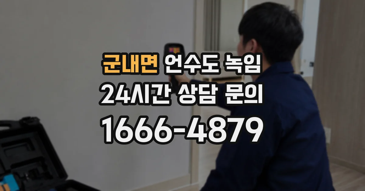 군내면 언수도 녹임