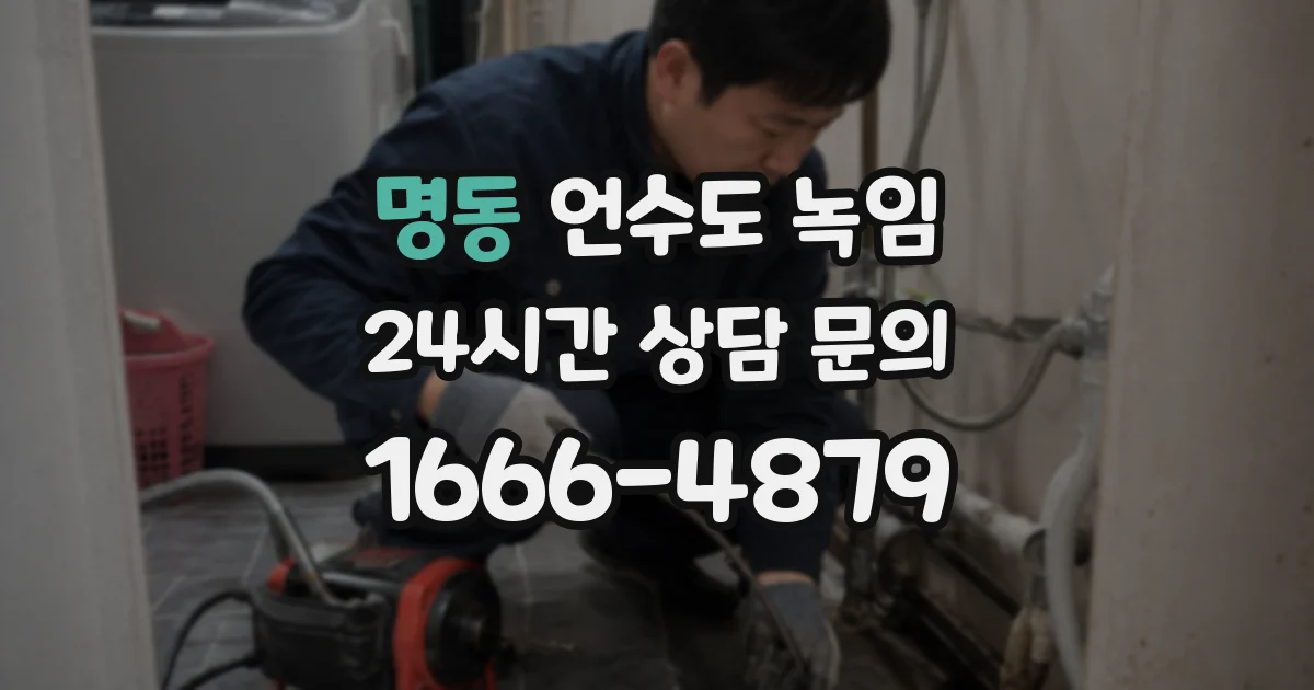 명동 언수도 녹임