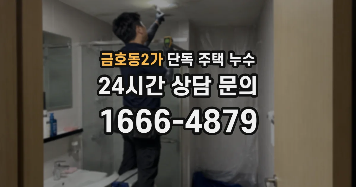 금호동2가 단독 주택 누수