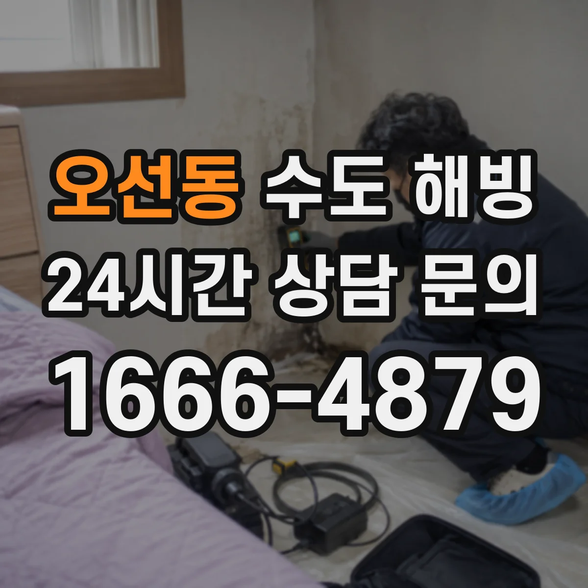 오선동 수도 해빙